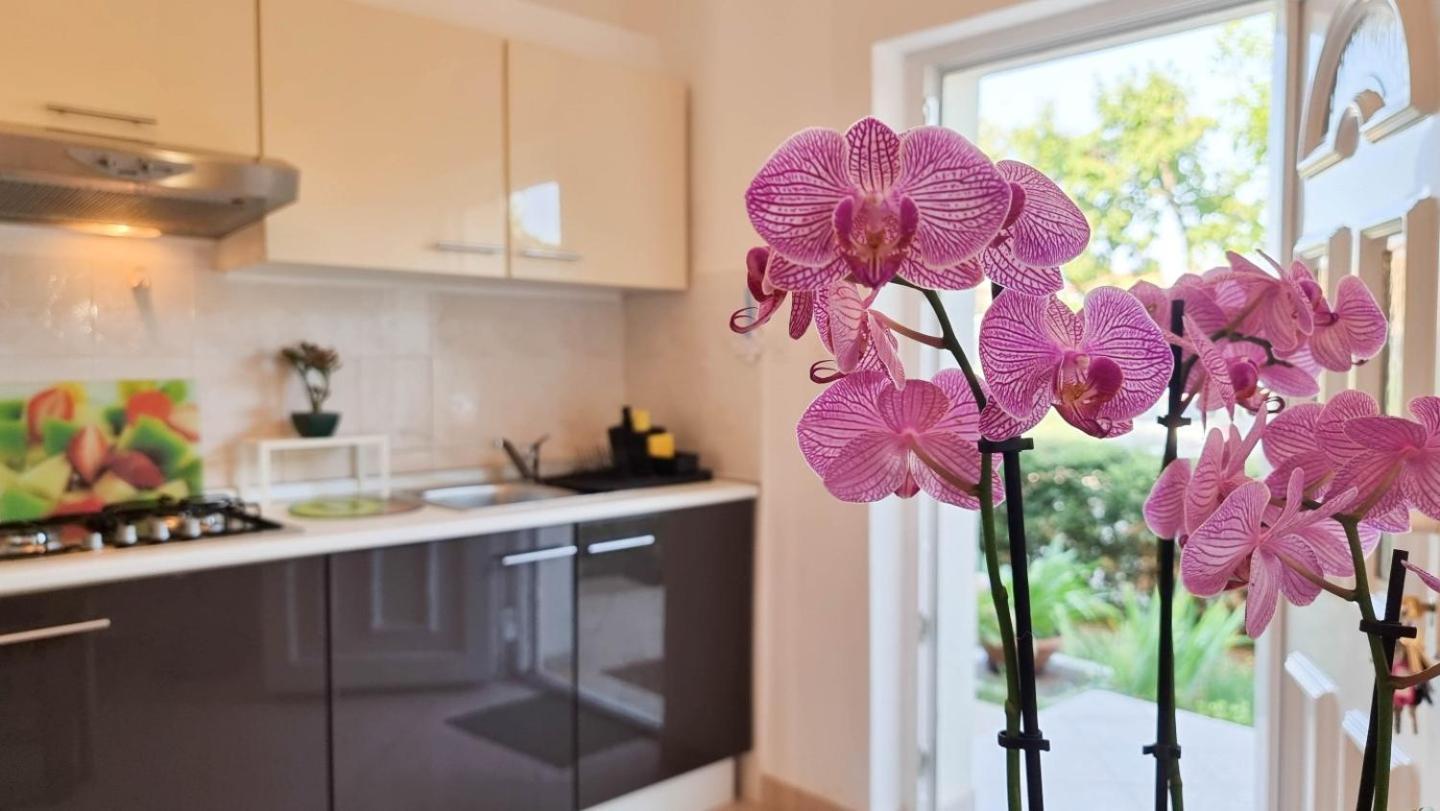 Bosko Apartment อูมัค ภายนอก รูปภาพ